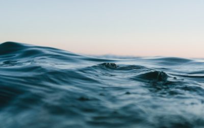 The Face of the Waters