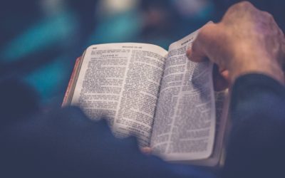 5 Tips on Studying the Bible